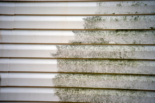 Best Yard Waste Removal  in Pquemine, LA